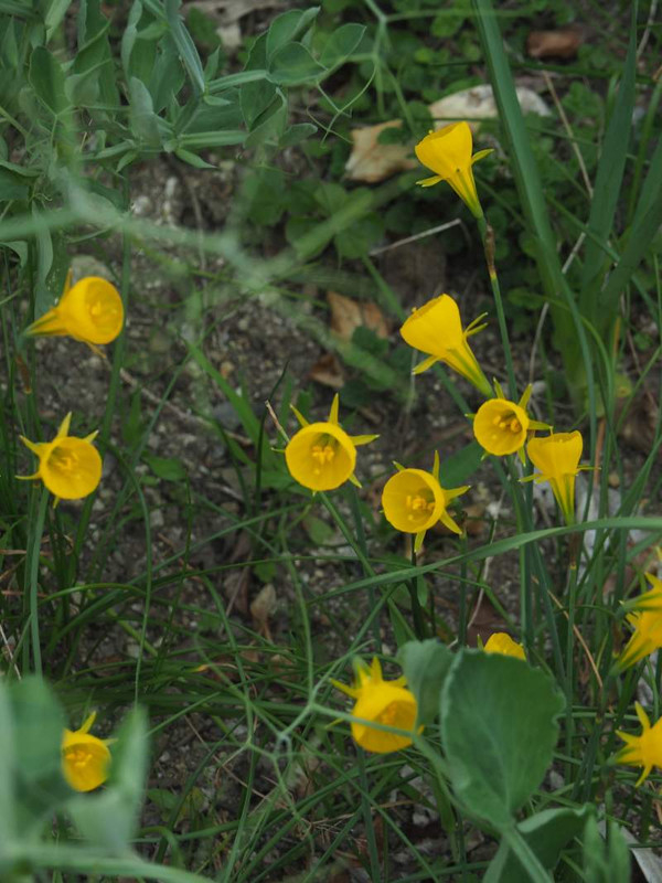 P4034089