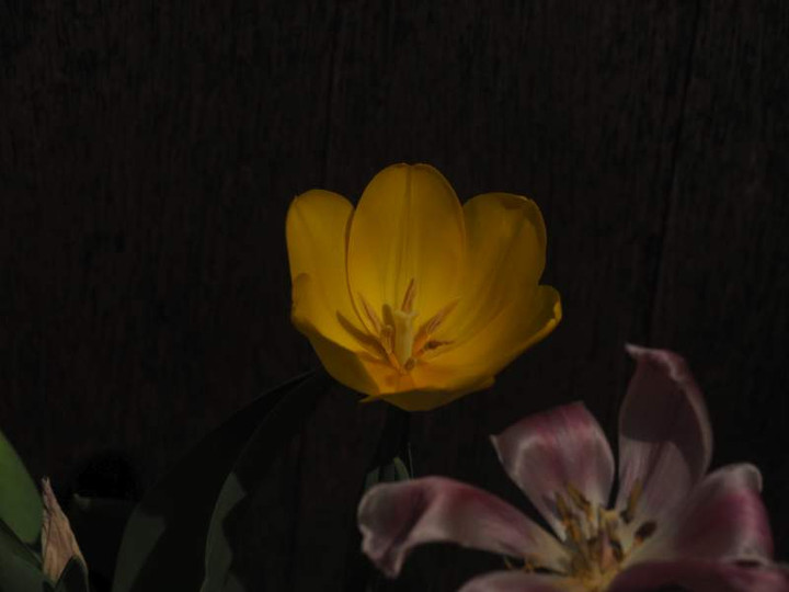 P4044098