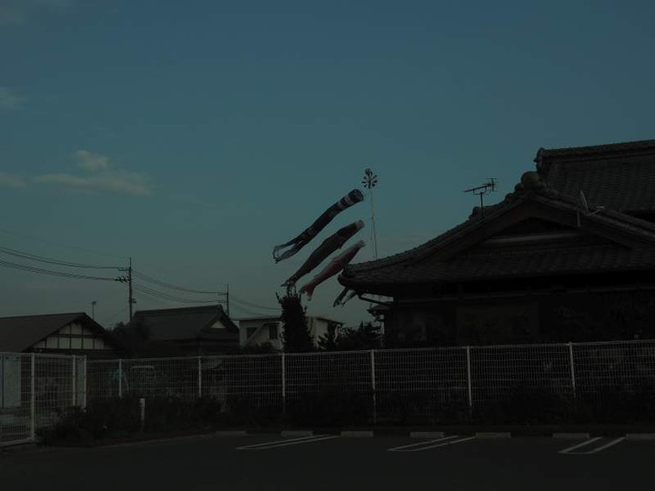 P4044165