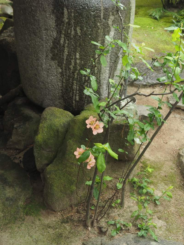 P4064302