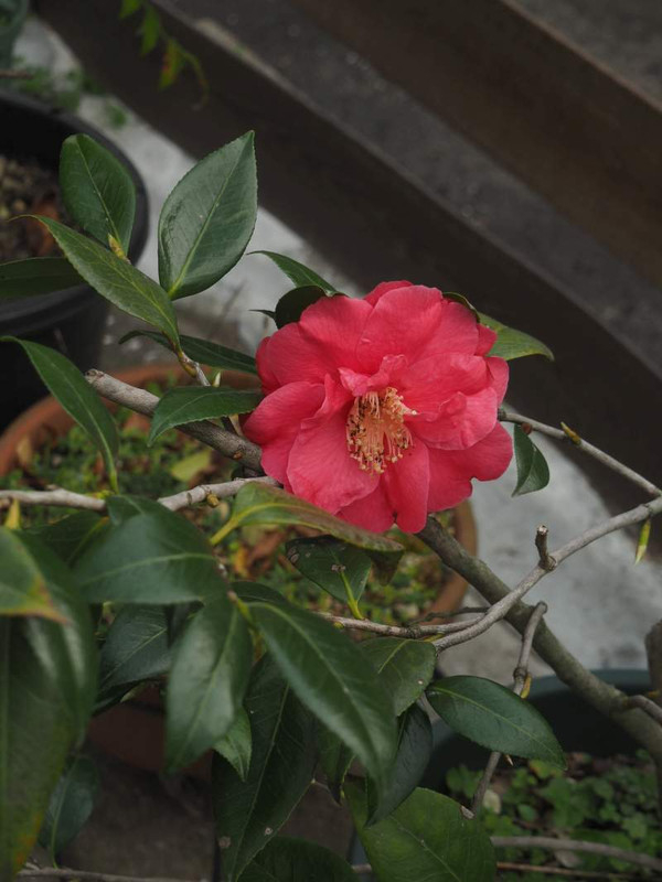 P4074321