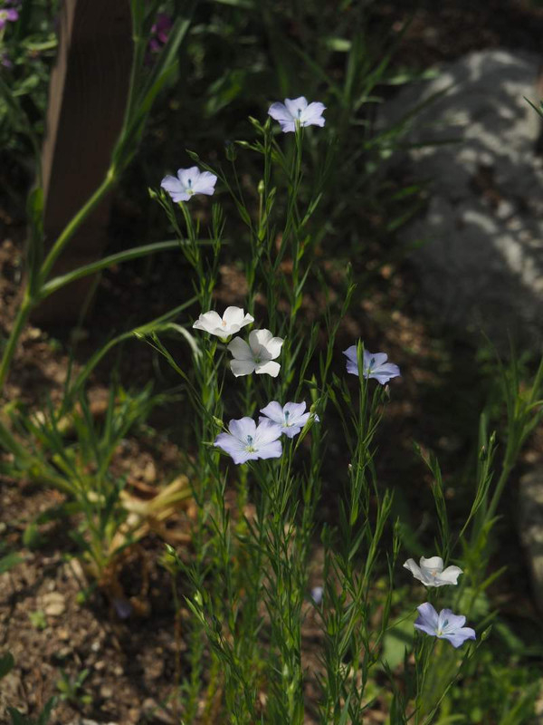 P4124382