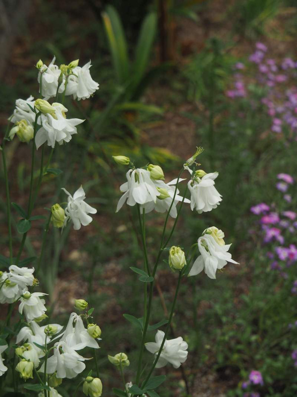 P4144444