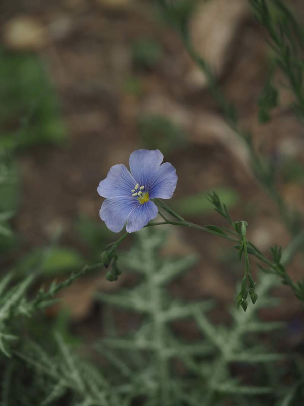 P4144466