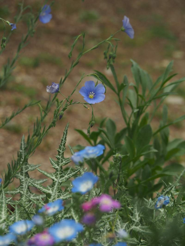 P4174568