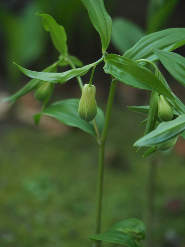 P4184601