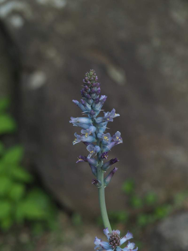 P4184606