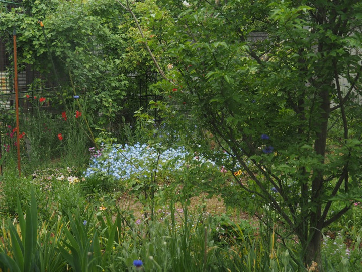 P4245506