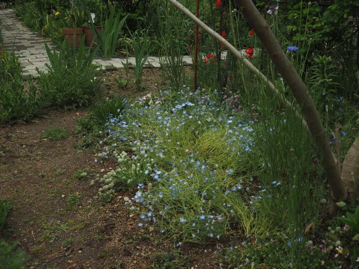 P4255535