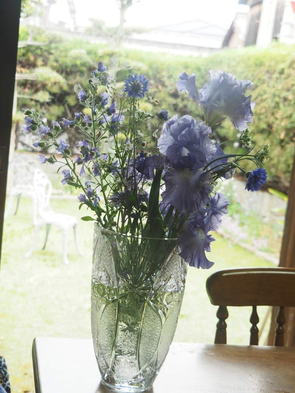 P4255551