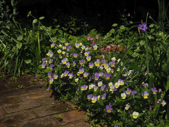 P4285688