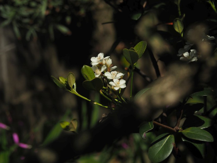 P4285696