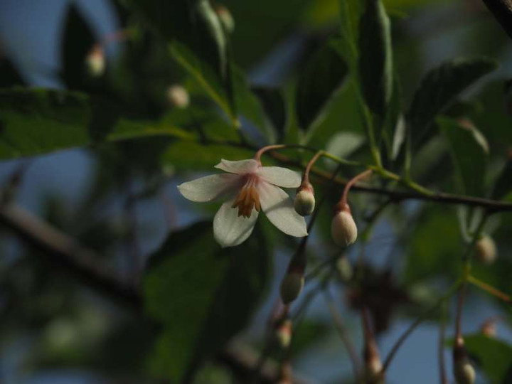 P5015759