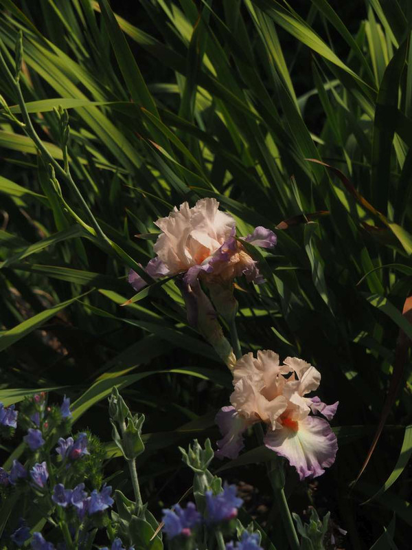 P5015765