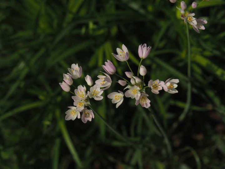 P5015793