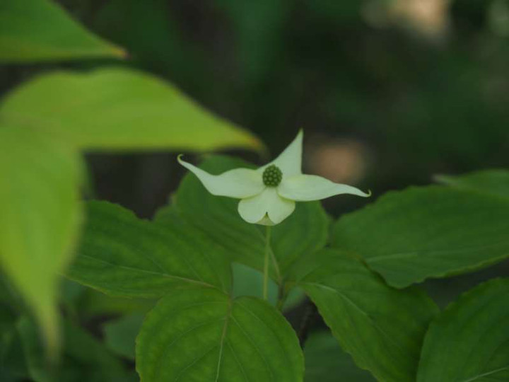 P5015817