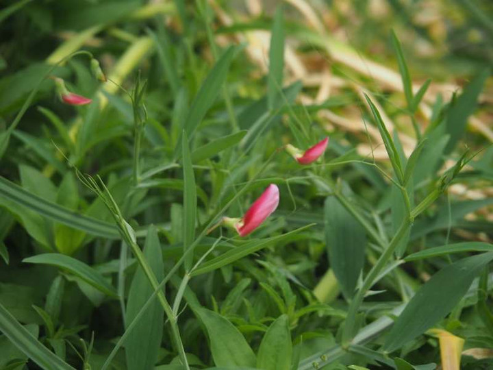 P5025833