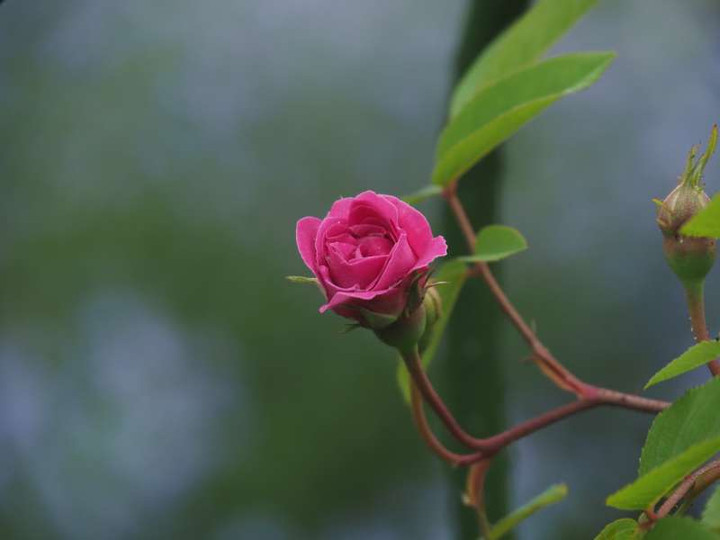 P5035872