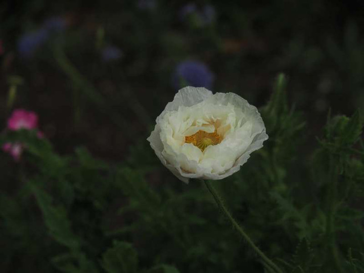 P5035894