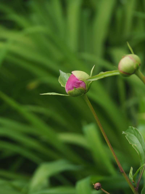 P5035907