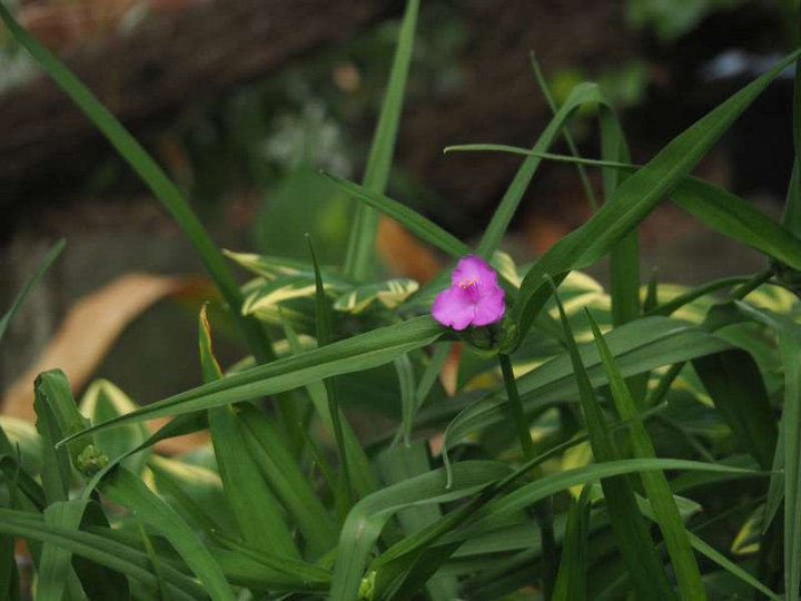 P5035936