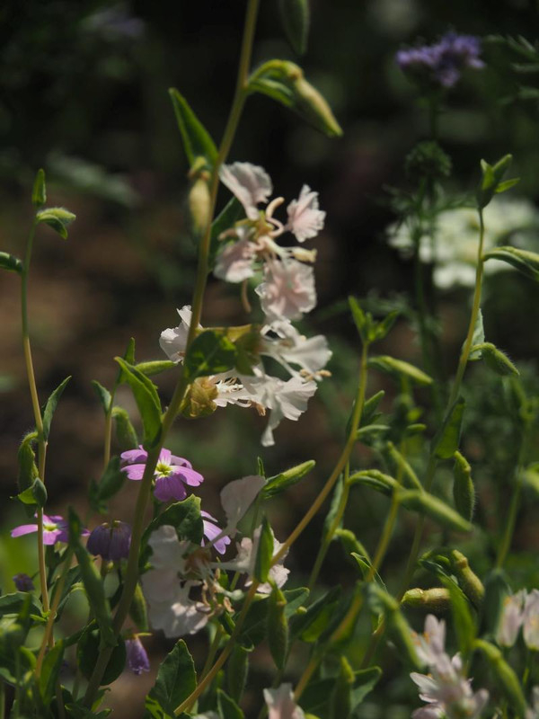 P5045967