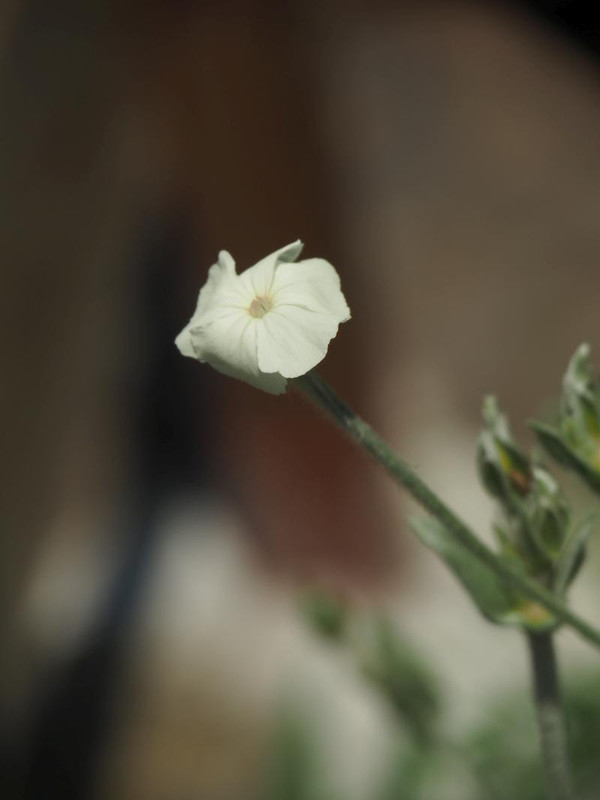 P5045996