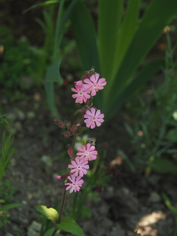 P5045997