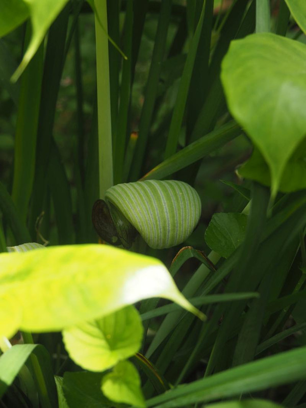 P5045999