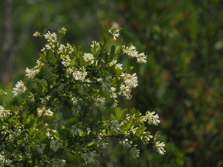 P5056042