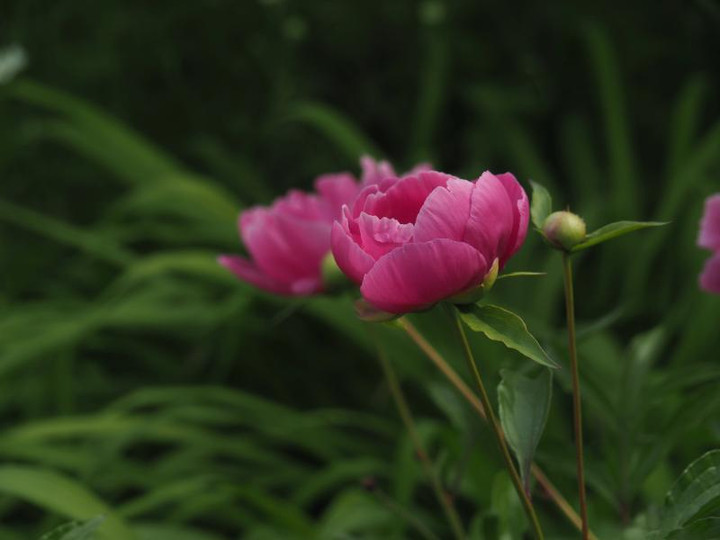 P5066054