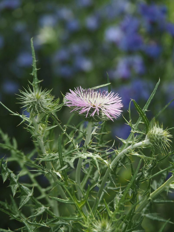 P5066063