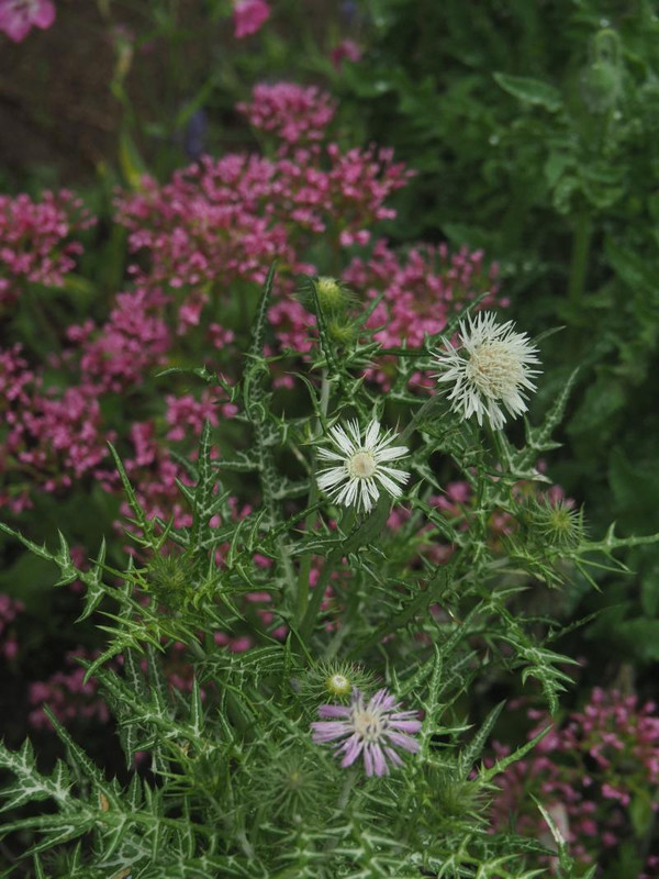 P5076169