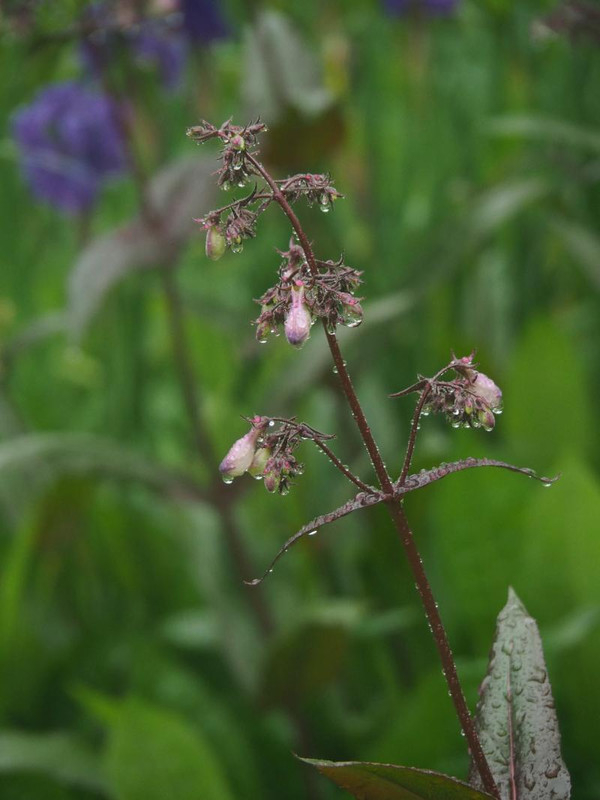 P5076173
