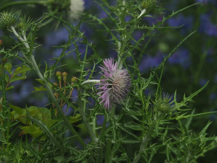 P5086212