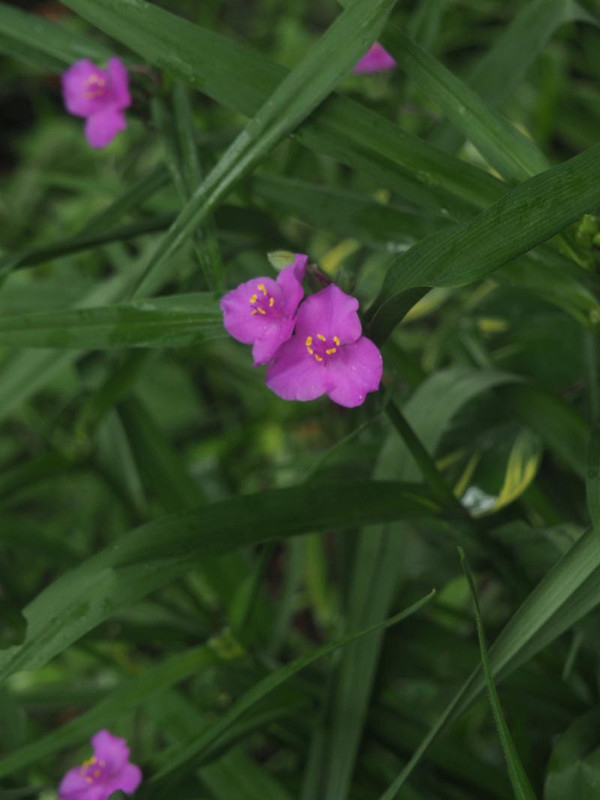 P5086222