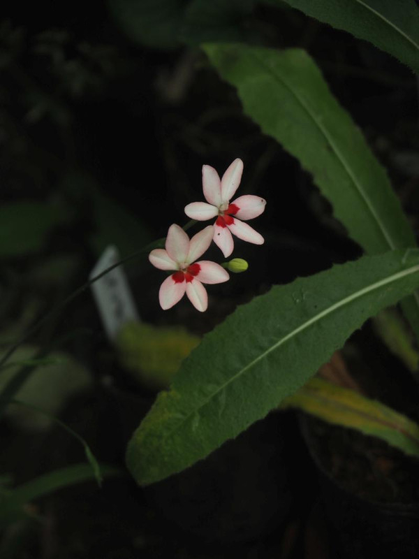 P5086224