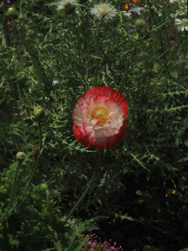 P5156959