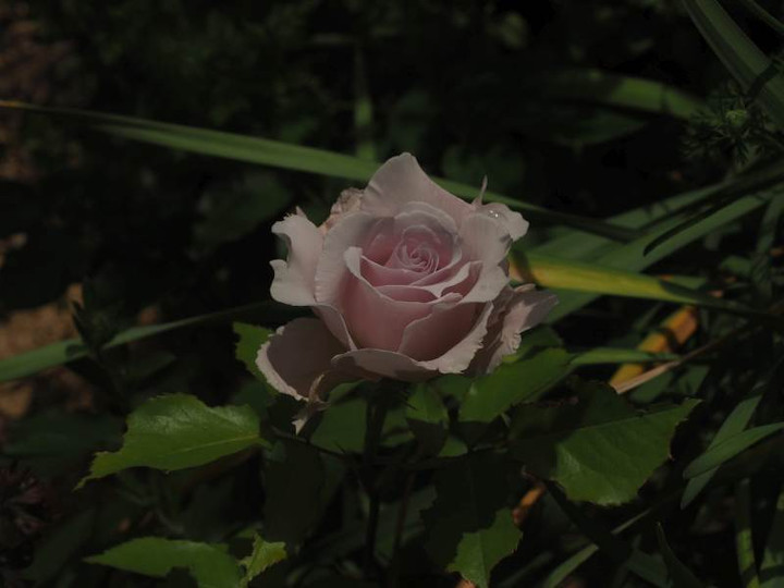 P5156972