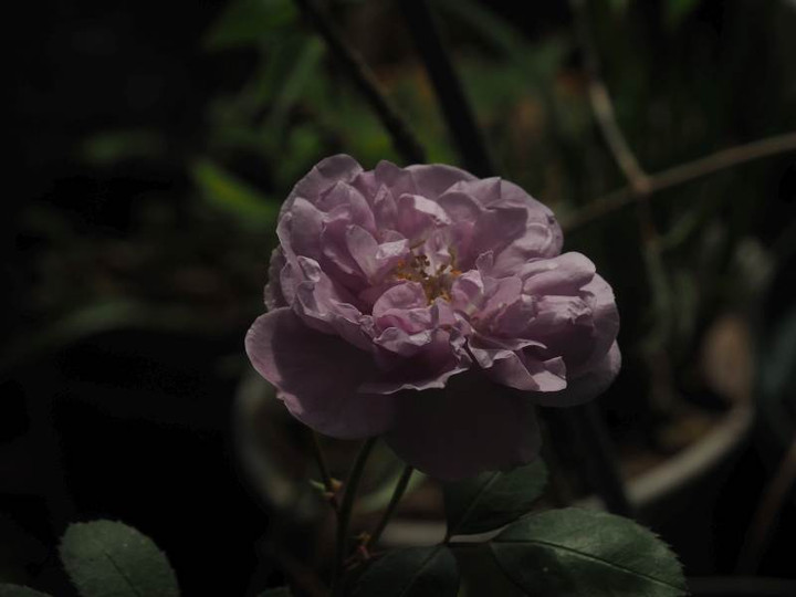 P5177077