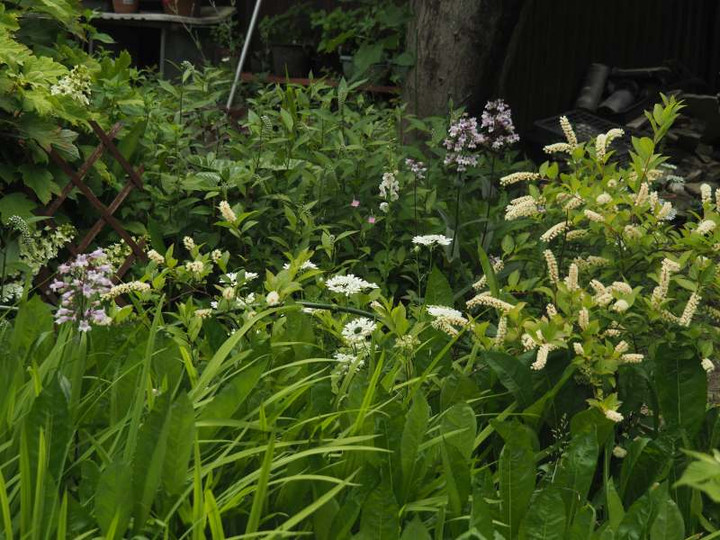 P5227284