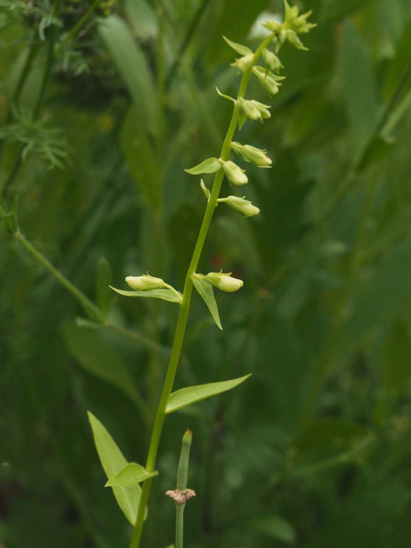 P5227302