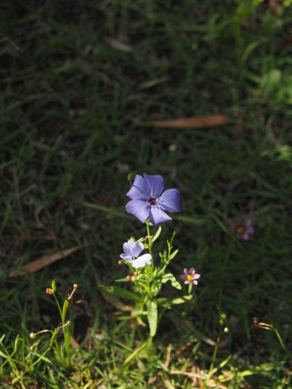 P5247366