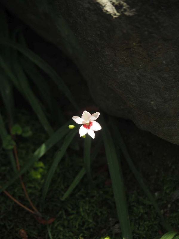 P5257402