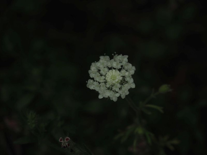 P5307564