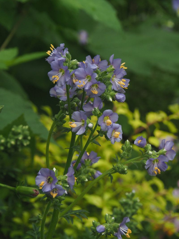 P5317569