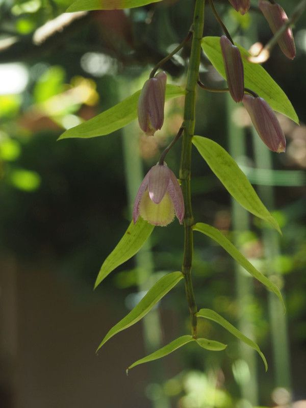 P6017618
