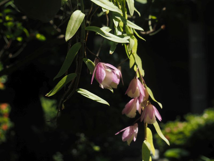P6027641