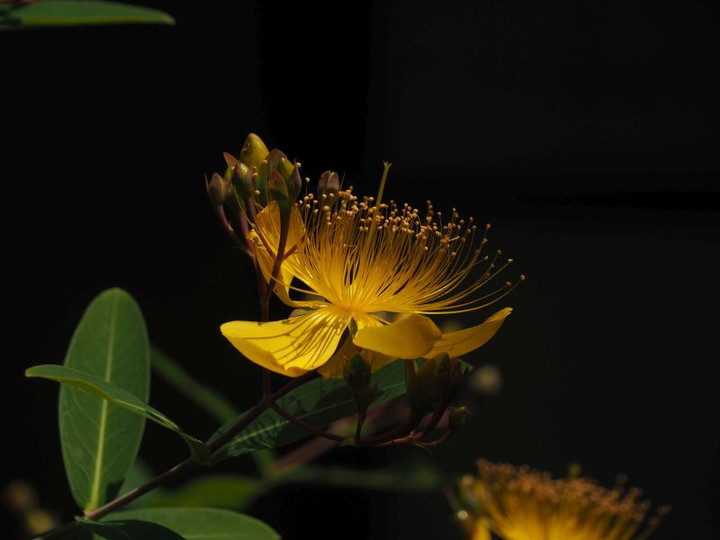 P6027667