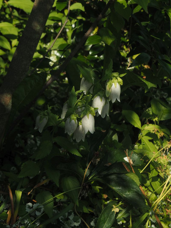 P6047898